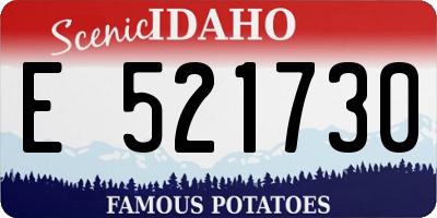 ID license plate E521730