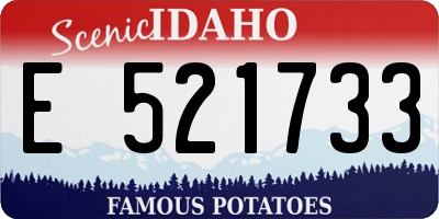 ID license plate E521733