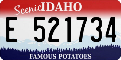 ID license plate E521734