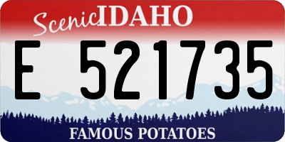 ID license plate E521735
