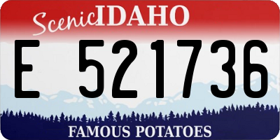 ID license plate E521736