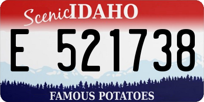 ID license plate E521738