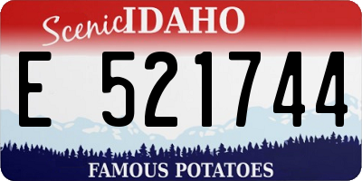 ID license plate E521744