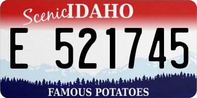 ID license plate E521745