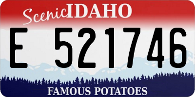 ID license plate E521746