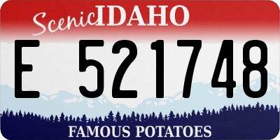 ID license plate E521748
