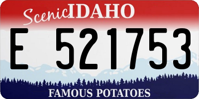 ID license plate E521753