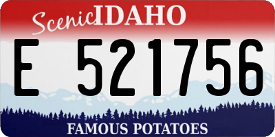 ID license plate E521756