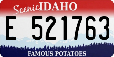 ID license plate E521763