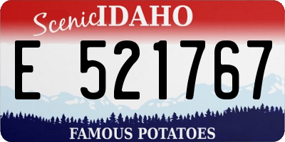 ID license plate E521767