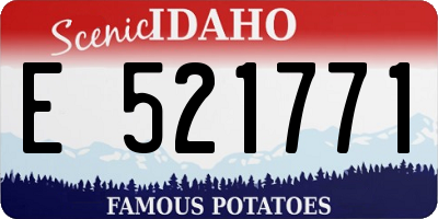 ID license plate E521771