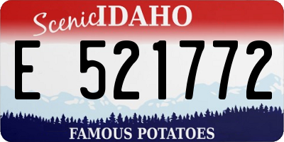 ID license plate E521772