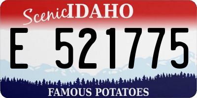 ID license plate E521775
