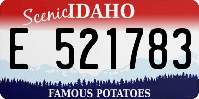 ID license plate E521783