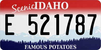 ID license plate E521787