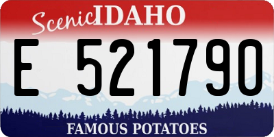 ID license plate E521790