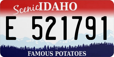 ID license plate E521791