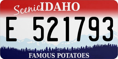 ID license plate E521793