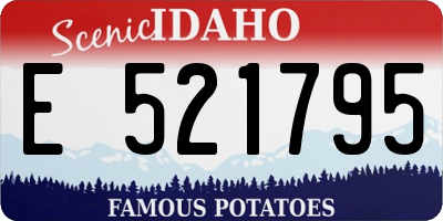 ID license plate E521795