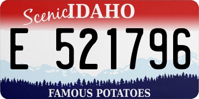 ID license plate E521796
