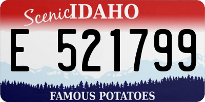 ID license plate E521799