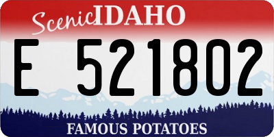 ID license plate E521802