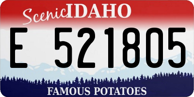 ID license plate E521805