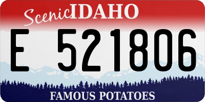 ID license plate E521806