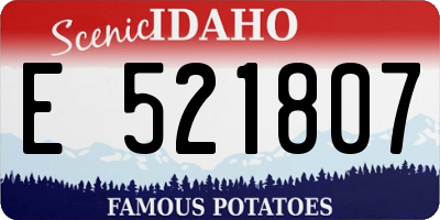 ID license plate E521807