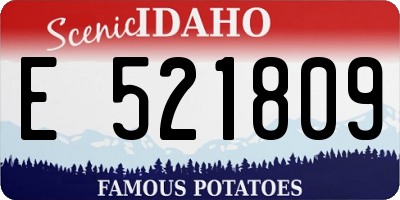 ID license plate E521809