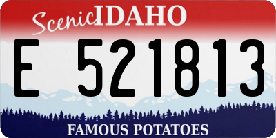 ID license plate E521813