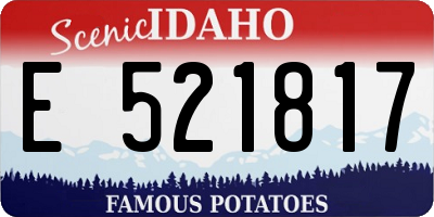 ID license plate E521817