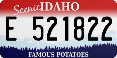 ID license plate E521822
