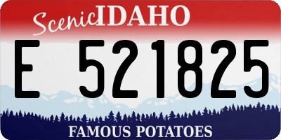 ID license plate E521825