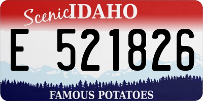 ID license plate E521826