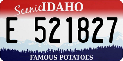 ID license plate E521827
