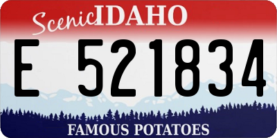 ID license plate E521834