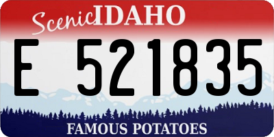 ID license plate E521835