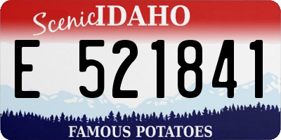 ID license plate E521841