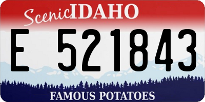 ID license plate E521843