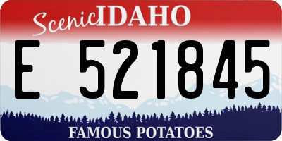 ID license plate E521845