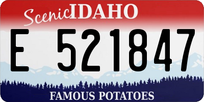 ID license plate E521847