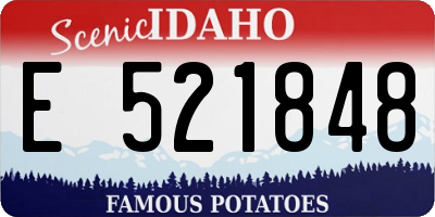 ID license plate E521848