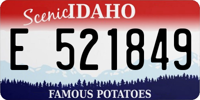 ID license plate E521849