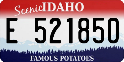 ID license plate E521850