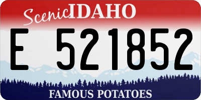 ID license plate E521852