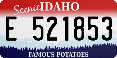 ID license plate E521853