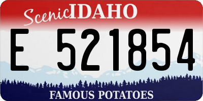 ID license plate E521854