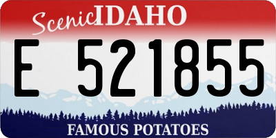 ID license plate E521855