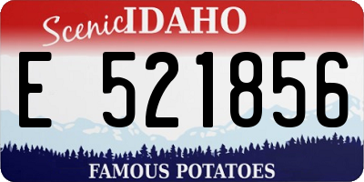 ID license plate E521856
